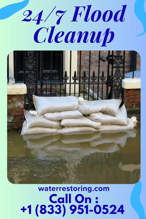 24/7 Flood Cleanup in Fifty Lakes, MN