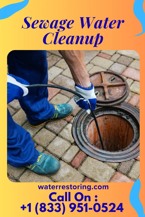 Sewage Water Cleanup in Fifty Lakes, MN